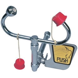 Speakman® Laboratory Wall Mounted Eye/Face Wash SE-575