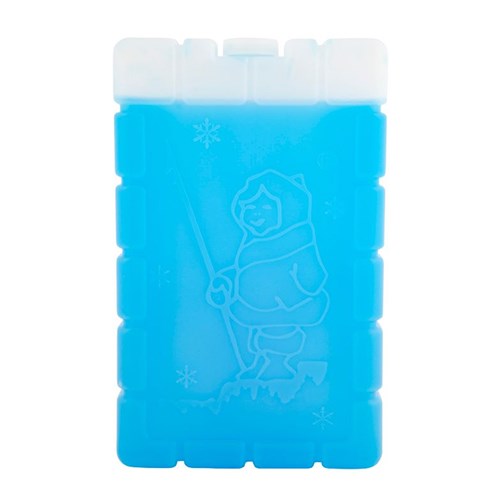 Coleman Large Ice Brick