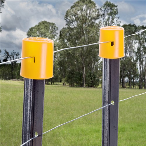 SureGard Round Star Multicap Yellow Picket Cap 1pc