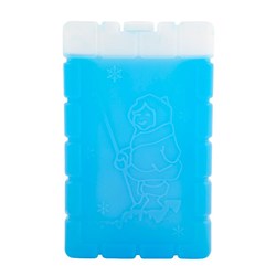 Coleman Large Ice Brick